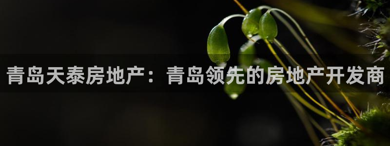万向娱乐王者荣耀