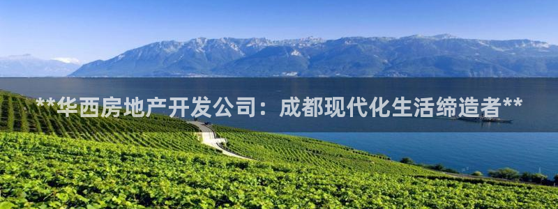 万向娱乐官网网址