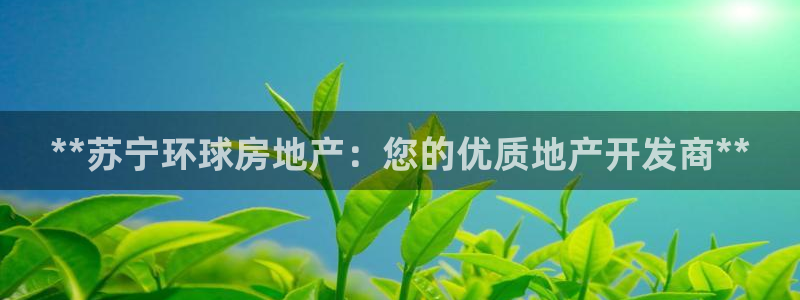 万向娱乐平台代理怎么样可靠吗