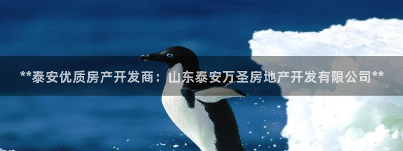 万向娱乐官网网址