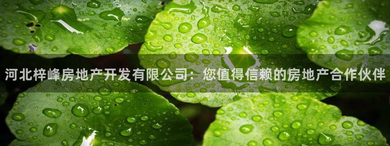 万向娱乐平台代理怎么样啊
