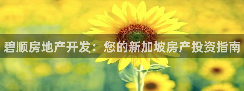 万向娱乐官网网址是多少