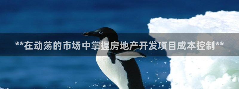 万向娱乐技术分享