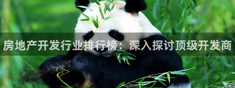 万向娱乐技术