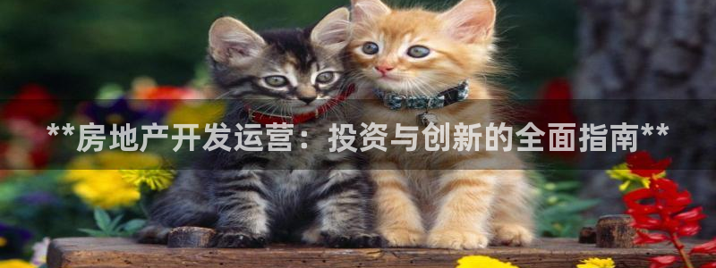 万向娱乐的494o3 主管