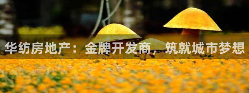 万向娱乐平台代理怎么做赚钱