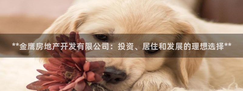 万向娱乐下载