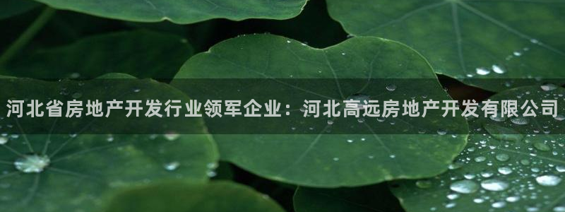 万向娱乐公司官网