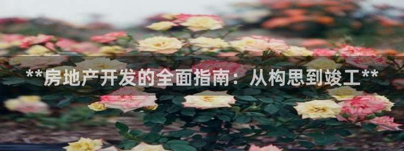 万向娱乐平台代理多少钱一个月
