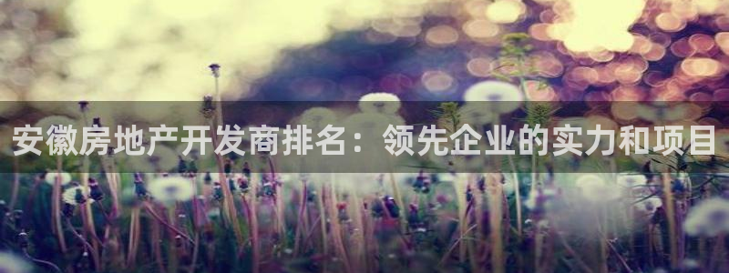 万向娱乐平台代理多少钱一个月