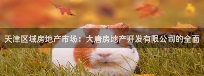 万向娱乐挂机