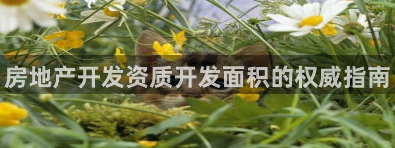 万能娱乐代理网址