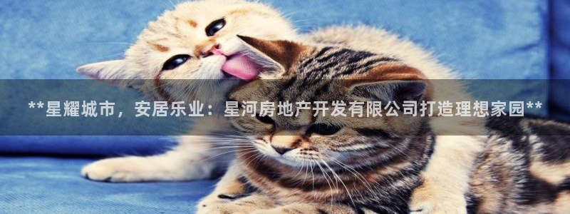 万向娱乐平台代理多少钱一个