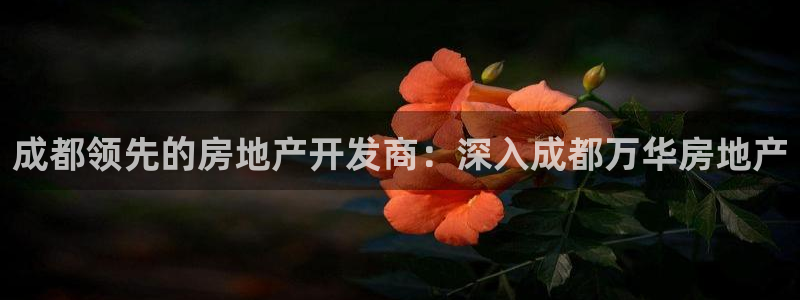 万向娱乐首页