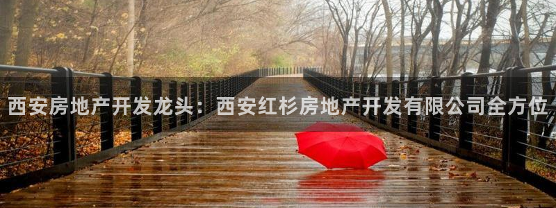 万向娱乐登陆官网入口