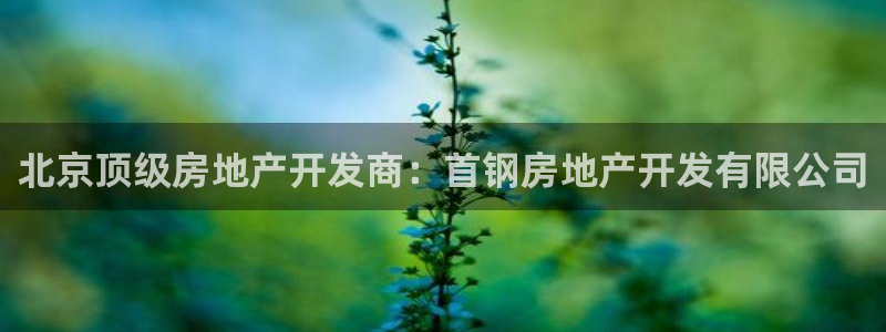 万向娱乐官网网址是什么