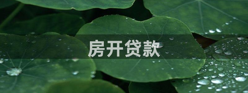 万向娱乐平台代理怎么做的