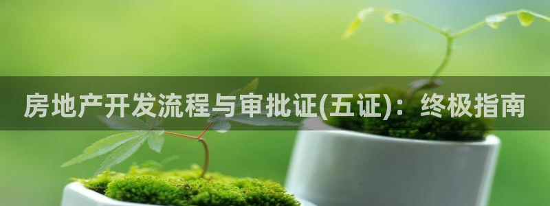 万向娱乐平台代理多少钱