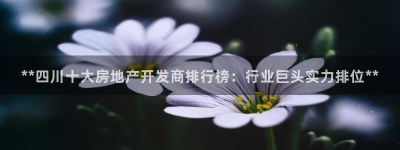 万向娱乐官网网址是什么