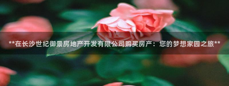万向娱乐公司 585.34I 娱乐