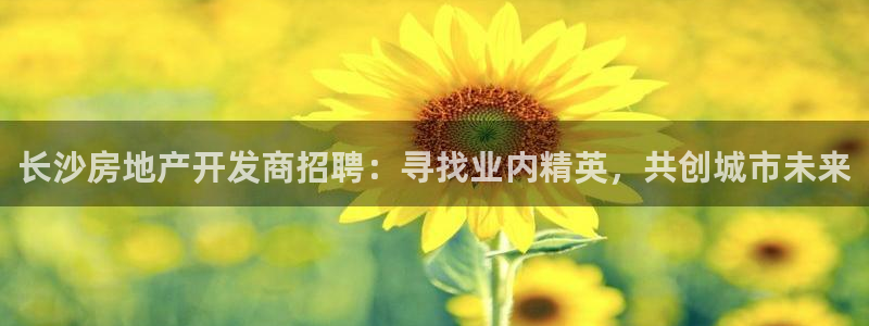 万向娱乐登陆官网