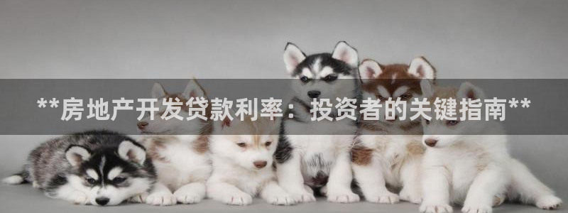 万向娱乐挂机