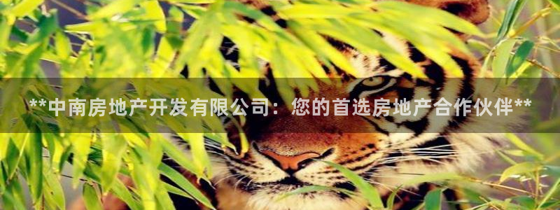 万向娱乐平台代理多少钱一个