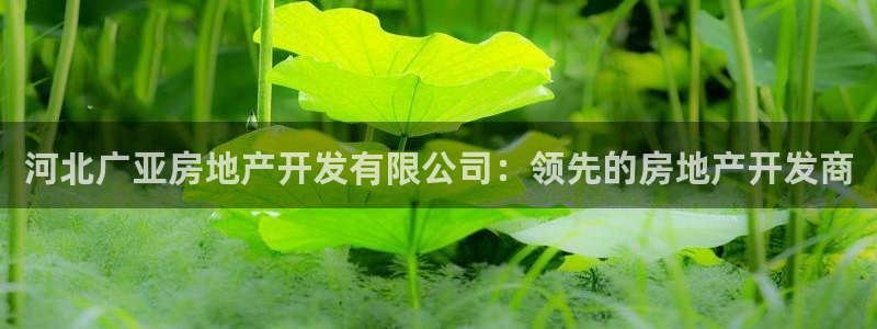 万向娱乐总代