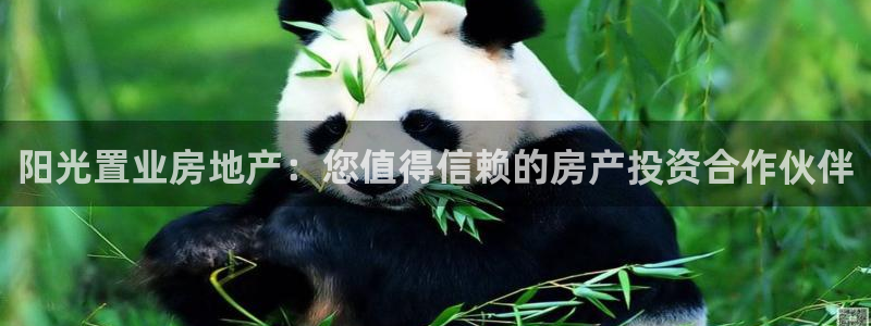 万向娱乐官网下载安装