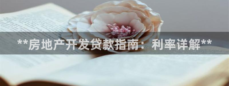 万向娱乐平台代理怎么做