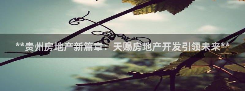 万向娱乐是哪个旗下