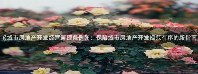 万向娱乐官网