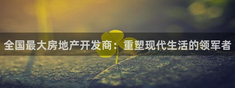 万向娱乐怎么样
