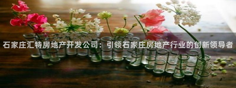 万向娱乐代理好看视频