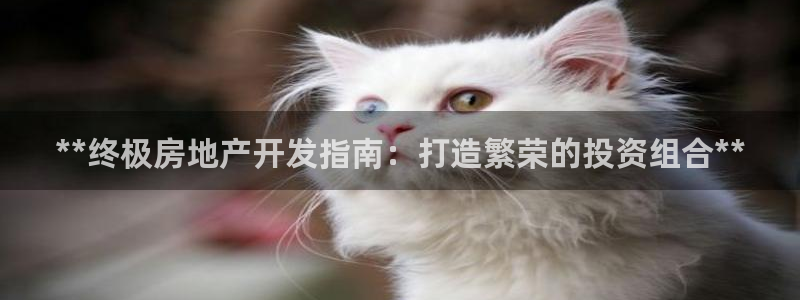 万向娱乐平台代理多少钱一个月