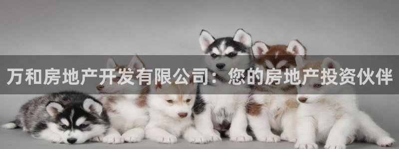 万向娱乐登陆官网下载