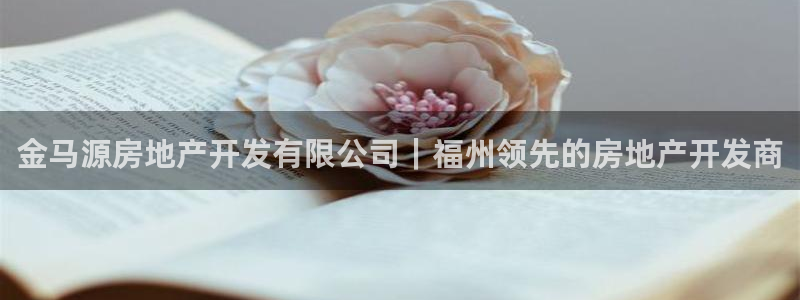 万向娱乐挂机