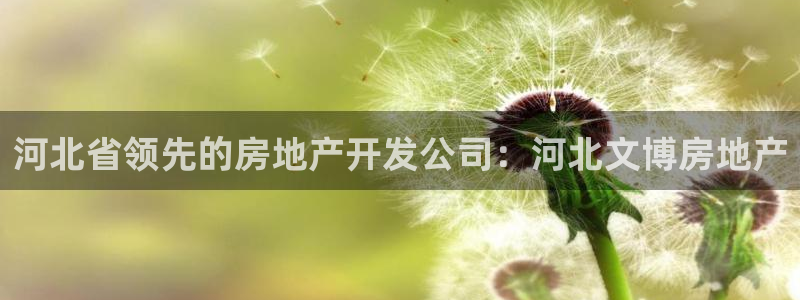 万向娱乐技术