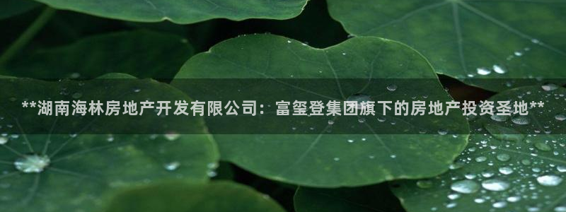 万向娱乐的联系方式是什么