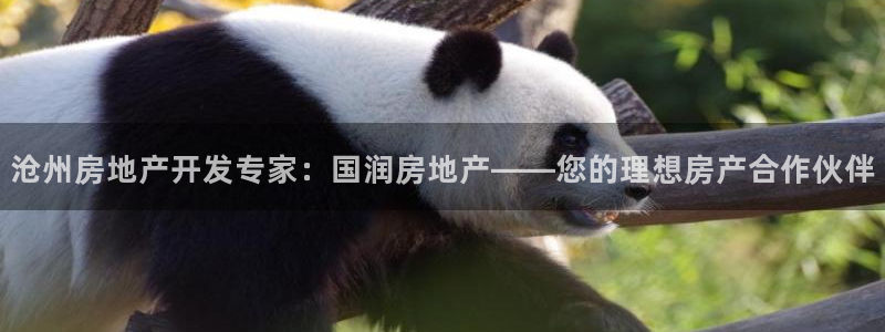 万能娱乐代理网址