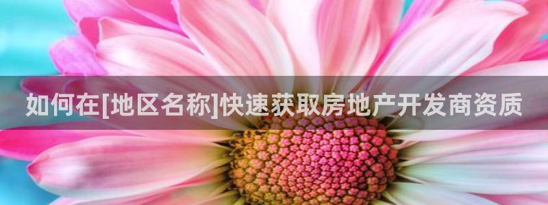万向娱乐下载安装