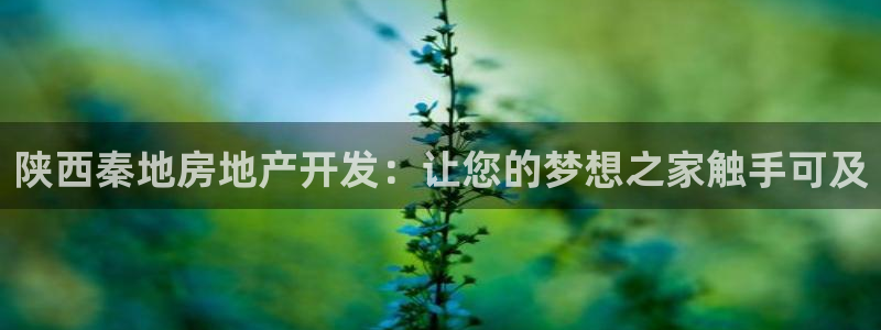 万向娱乐平台代理多少钱一年