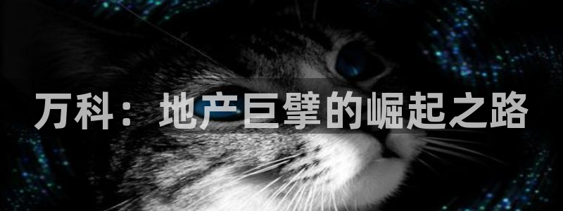 万向娱乐下载