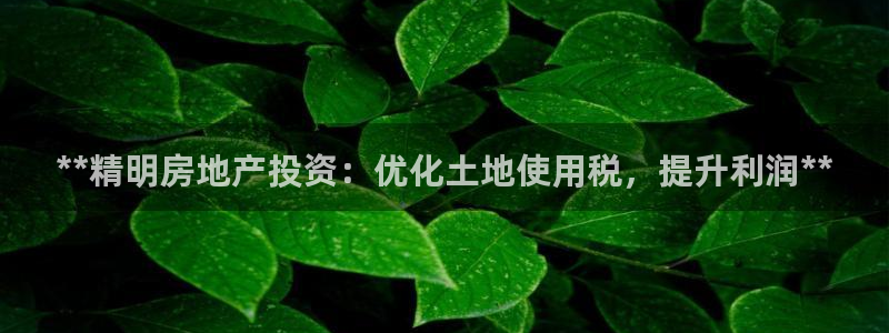 万向娱乐公司官网