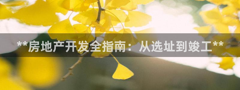 万向娱乐平台代理多少钱一年