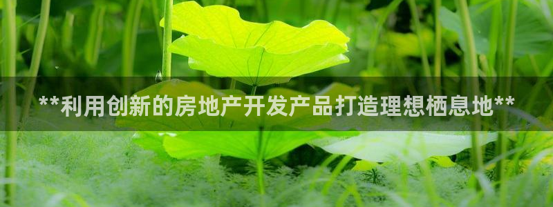 万向娱乐平台代理多少钱