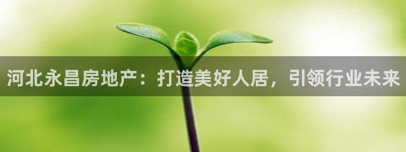 万向娱乐总代