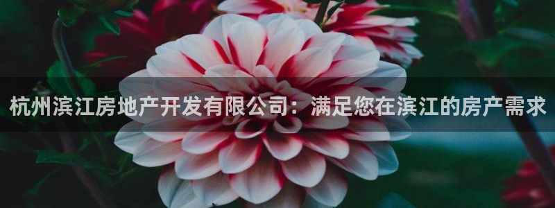万向娱乐平台代理多少钱