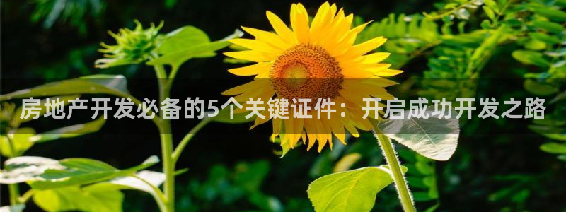 万向娱乐公司官网首页