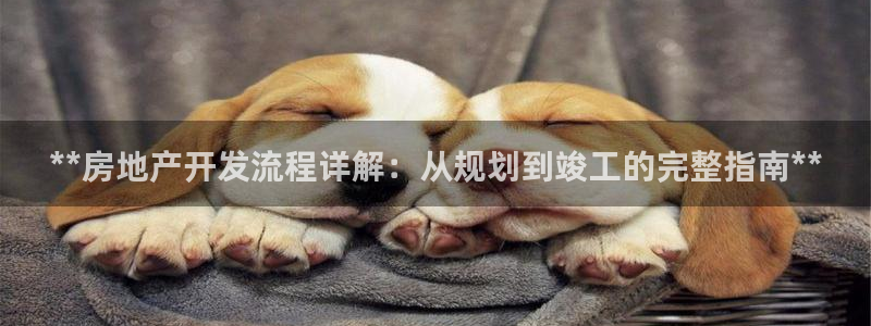 万向娱乐官网下载安装